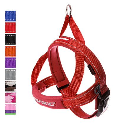 Leash and Harnesses
