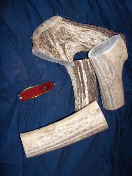 Elk Antlers
