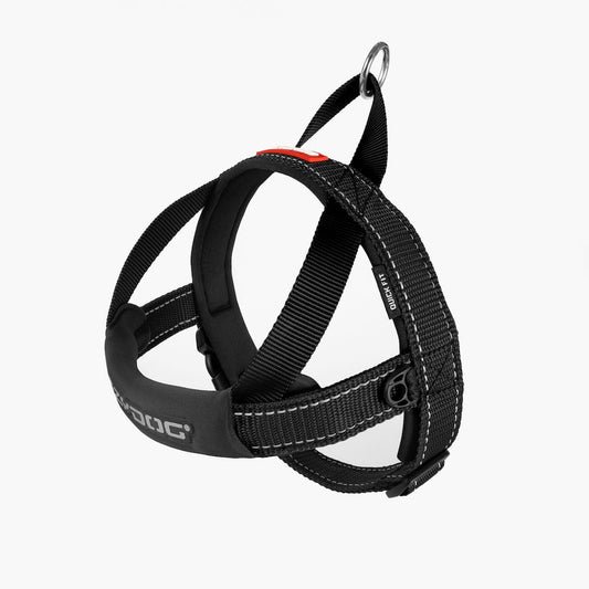 EzyDog Quickfit Harness