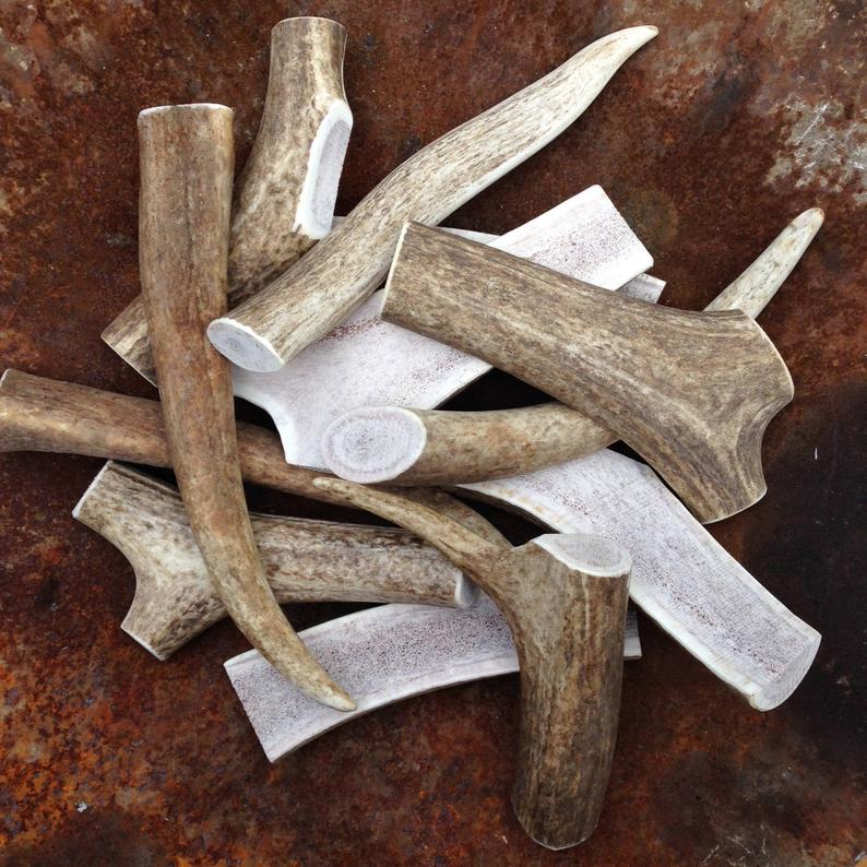 Elk Antlers