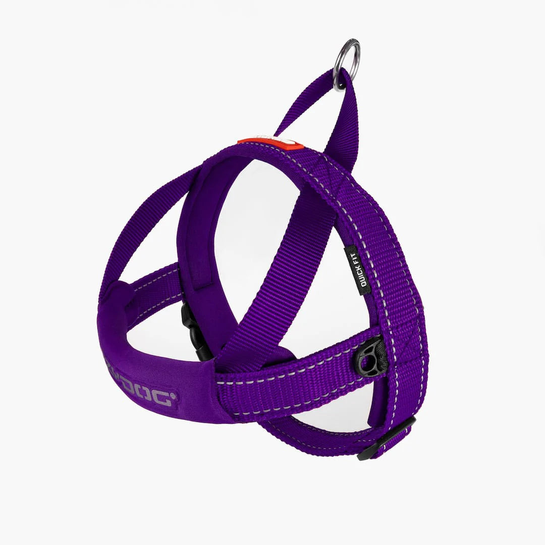 EzyDog Quickfit Harness