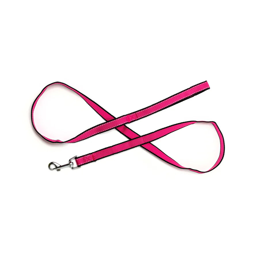 Bark Appeal Reflective Mesh Leash