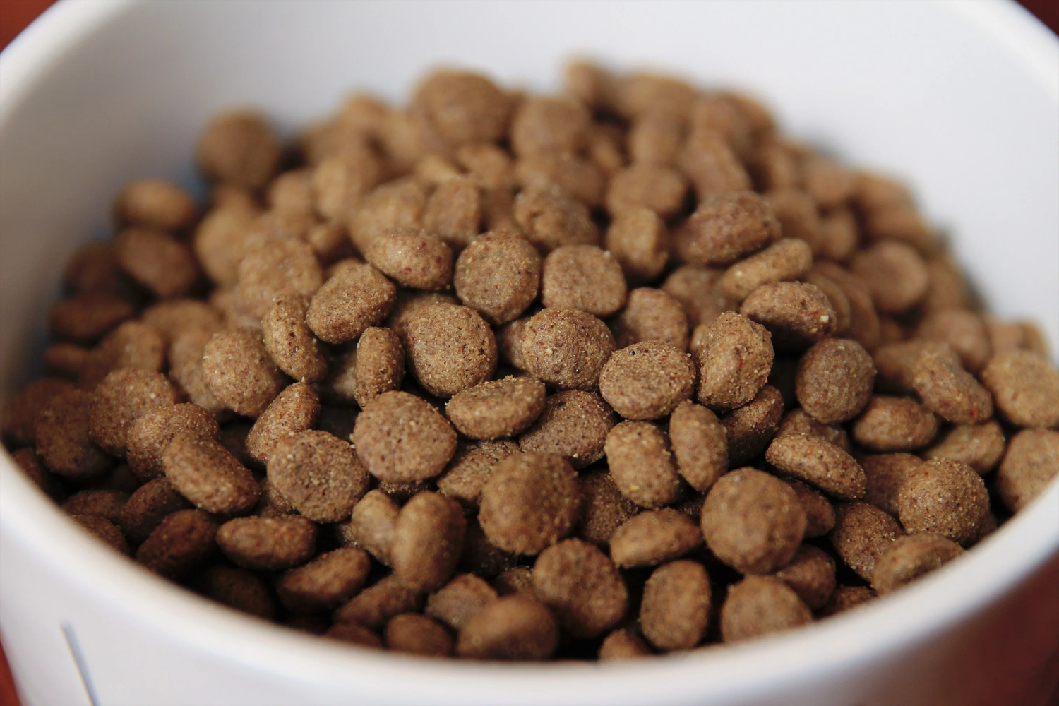 Dry Dog Food