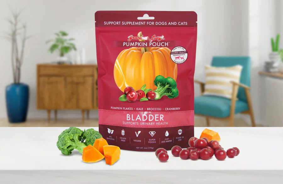 Grandma Lucy's Pumpkin Pouch
