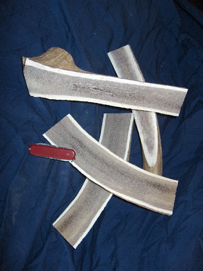 Elk Antlers