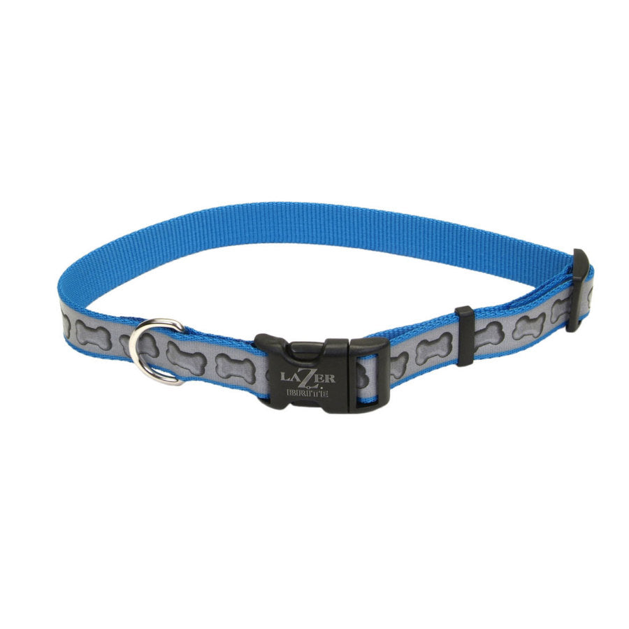 Coastal Dog Collars