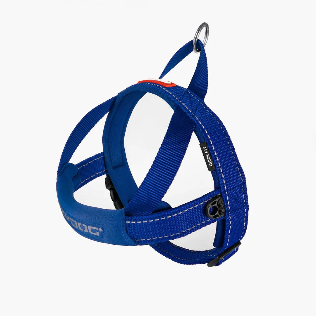 EzyDog Quickfit Harness