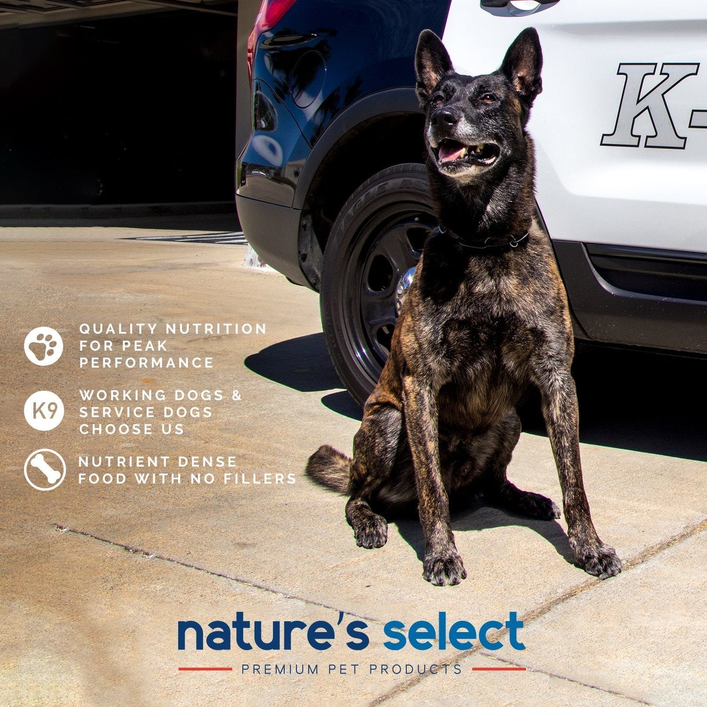 Nature's Select Plus Recipe - Chicken & Rice w/ Glucosamine