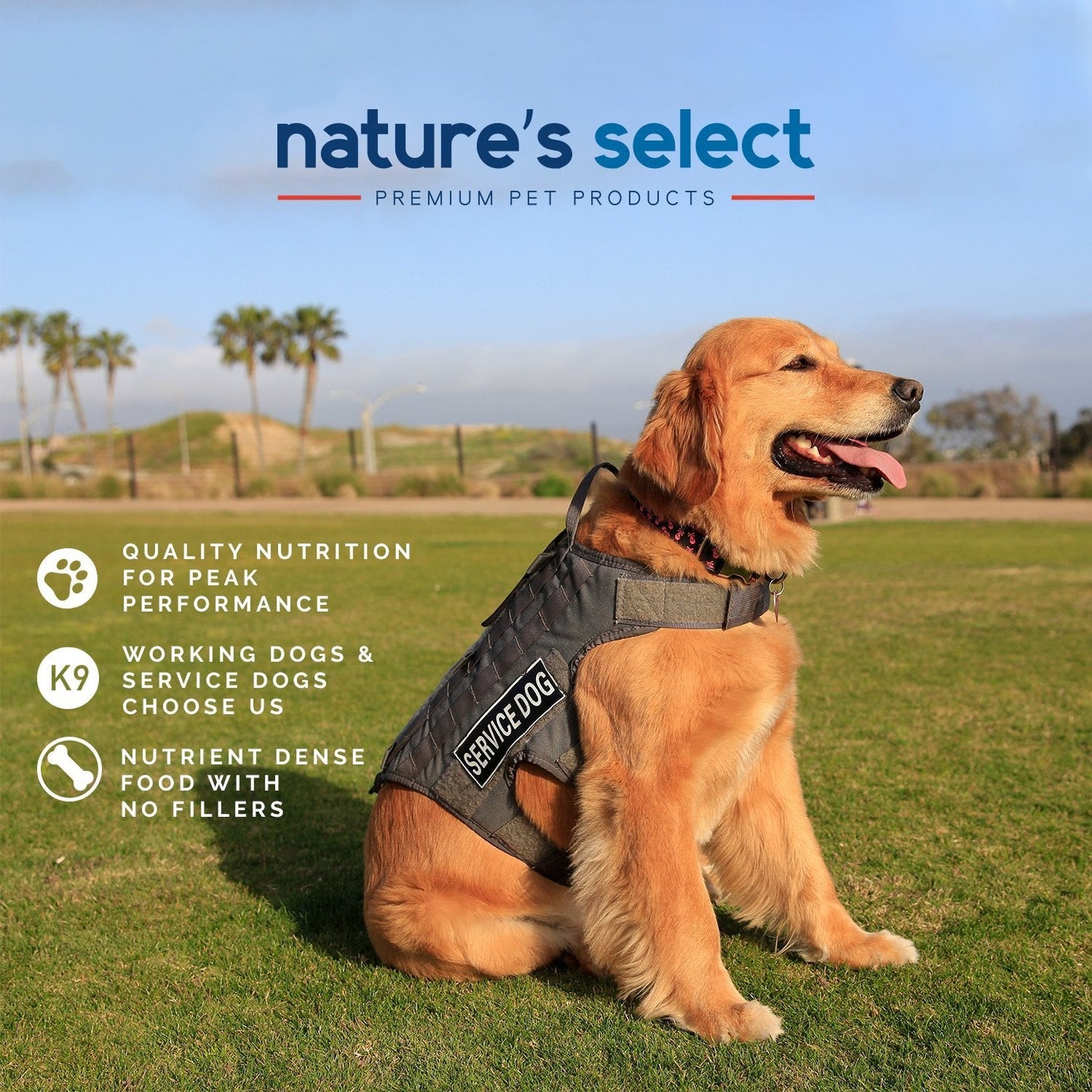 Nature's Select High Protein Recipe - Chicken & Rice