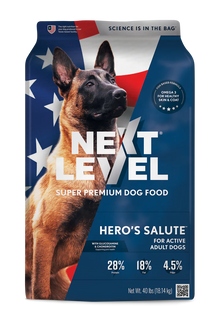 Next Level Hero's Salute