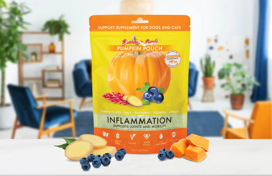 Grandma Lucy's Pumpkin Pouch