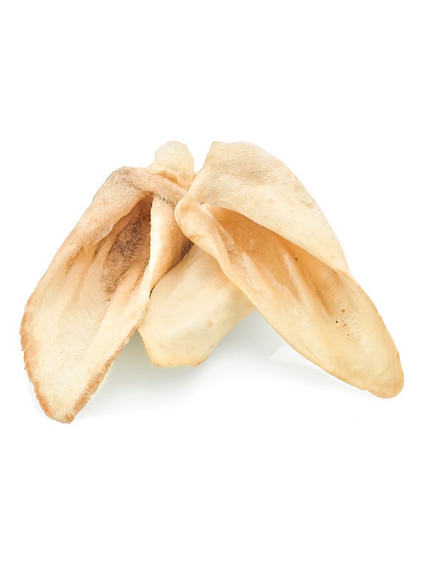 Lamb Ear