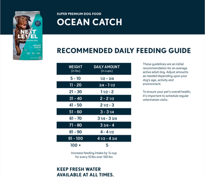 Next Level Ocean Catch