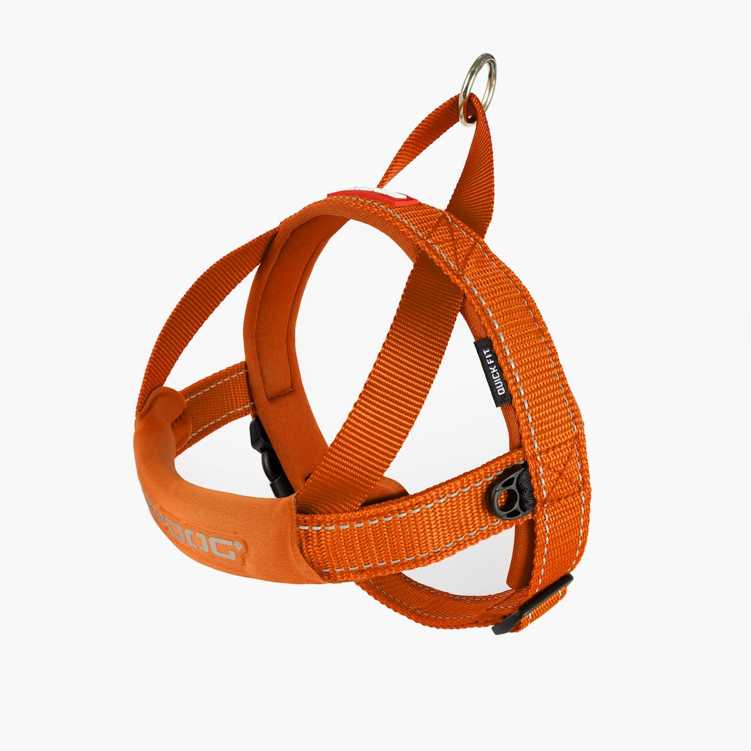 EzyDog Quickfit Harness