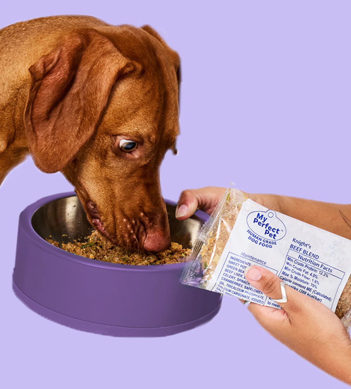 MyPerfectPet Frozen Dog Food