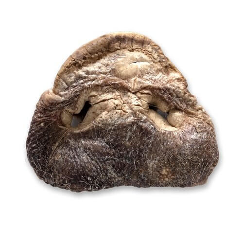 Bones & co Freeze-Dried Bulk Pig/Duck Parts