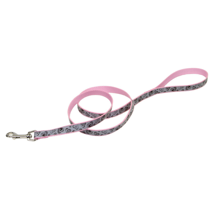 Coastal Dog Leashes