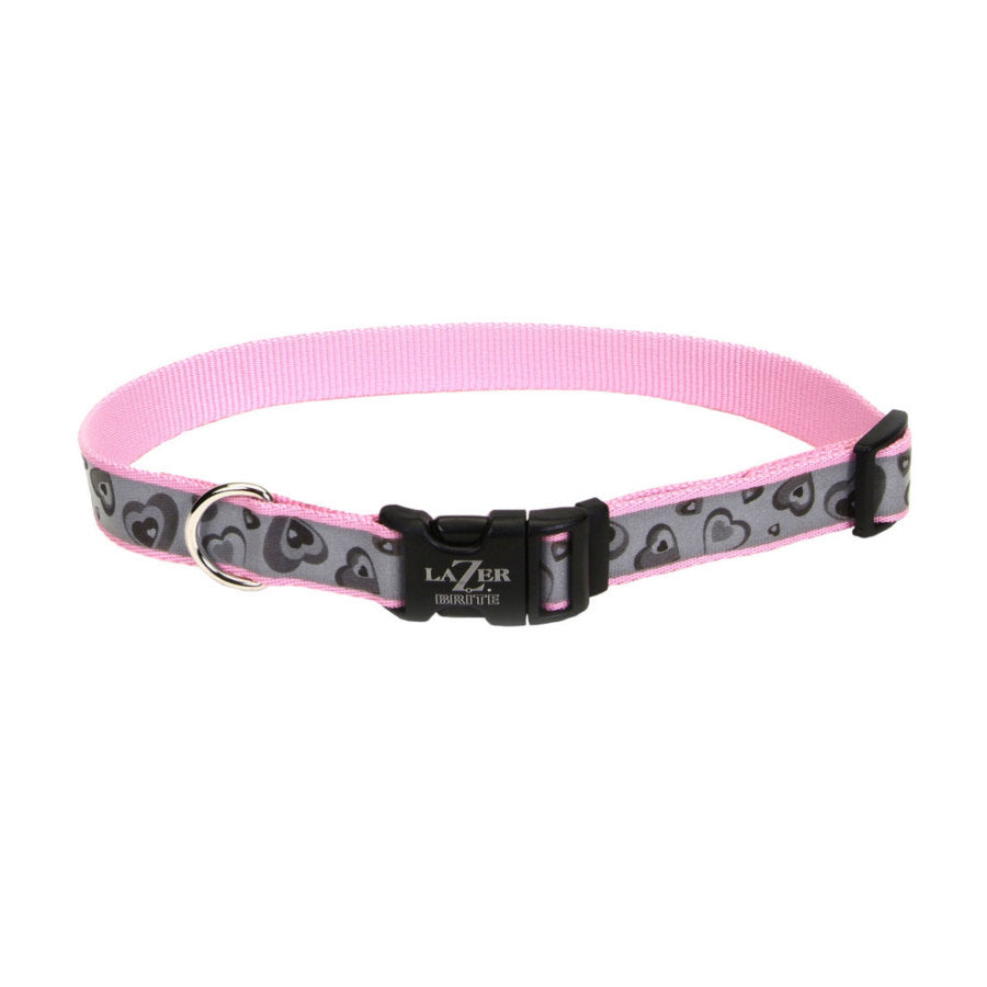Coastal Dog Collars