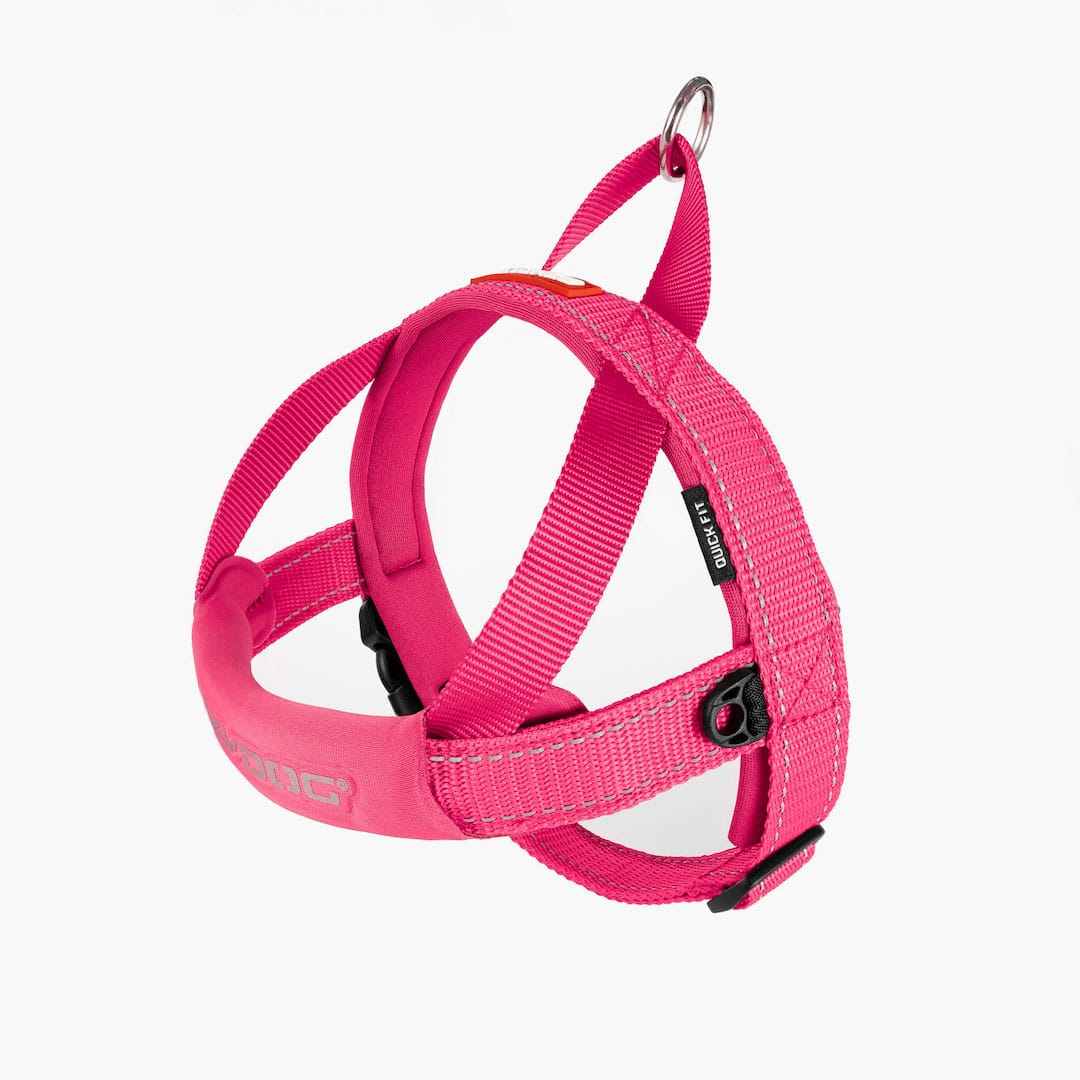 EzyDog Quickfit Harness
