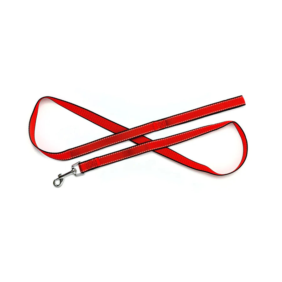 Bark Appeal Reflective Mesh Leash