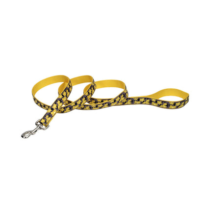 Coastal Dog Leashes